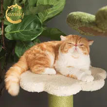 グラデーション多色フラワー階段型キャットタワー【多層タイプ・キャット  ハウス一体型・中型用】（セットアップ対応）