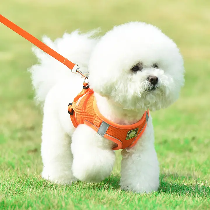 調整可能なハーネス付き犬用リード【小型犬・テディベア・フレンチブルドッグ用】