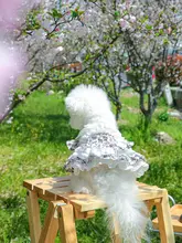 犬用ドレス【パーティー・可愛い公主デザイン・小型犬用】