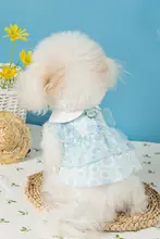 犬用プリンセススタイルワンピース【夏用・薄手・テディベア・ヨークシャー・小型犬用】