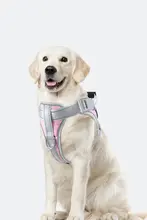 中型犬用ハーネス付きリード【ラブラドール・ゴールデンレトリバー・コーギー対応・衝撃吸収】