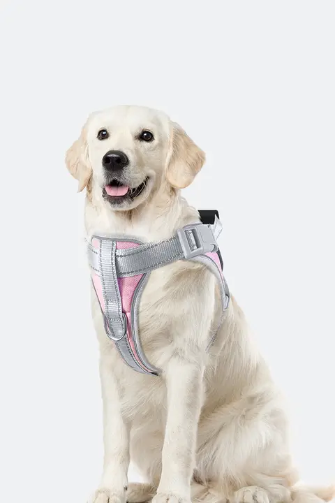 中型犬用ハーネス付きリード【ラブラドール・ゴールデンレトリバー・コーギー対応・衝撃吸収】