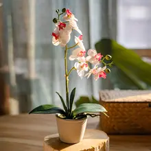 フェイクフラワー 蘭 リビング グリーン 植物 装飾品