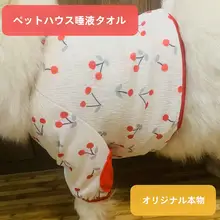 中大型犬用 透湿メッシュ 犬用ウェア【春夏用・肘保護・サモエド・ゴールデンレトリバー対応】