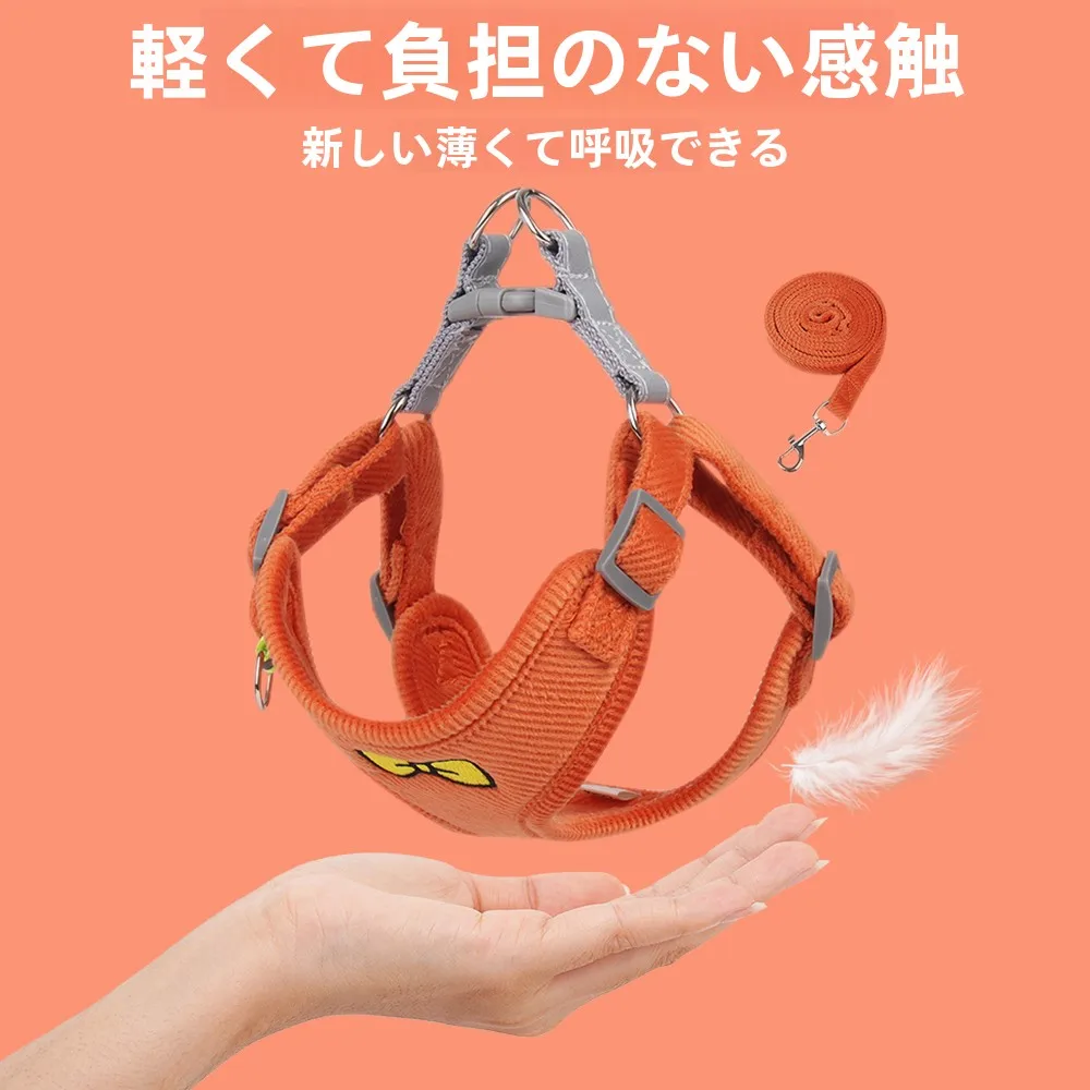 犬のお散歩グッズをコスパ良く揃える方法｜サイズ・色・シーン別選び方の完全ガイド