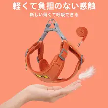 小型犬用ハーネス付きリード【テディ・ビション・ポメラニアン用・安心設計】
