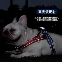 調節可能なハーネス付き犬用リード【中小型犬用・柴犬・フレンチブルドッグ・テディベア】