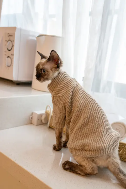 GINGERAIN テキサス猫用ニットセーター【保温・柔らかい・無毛猫対応】