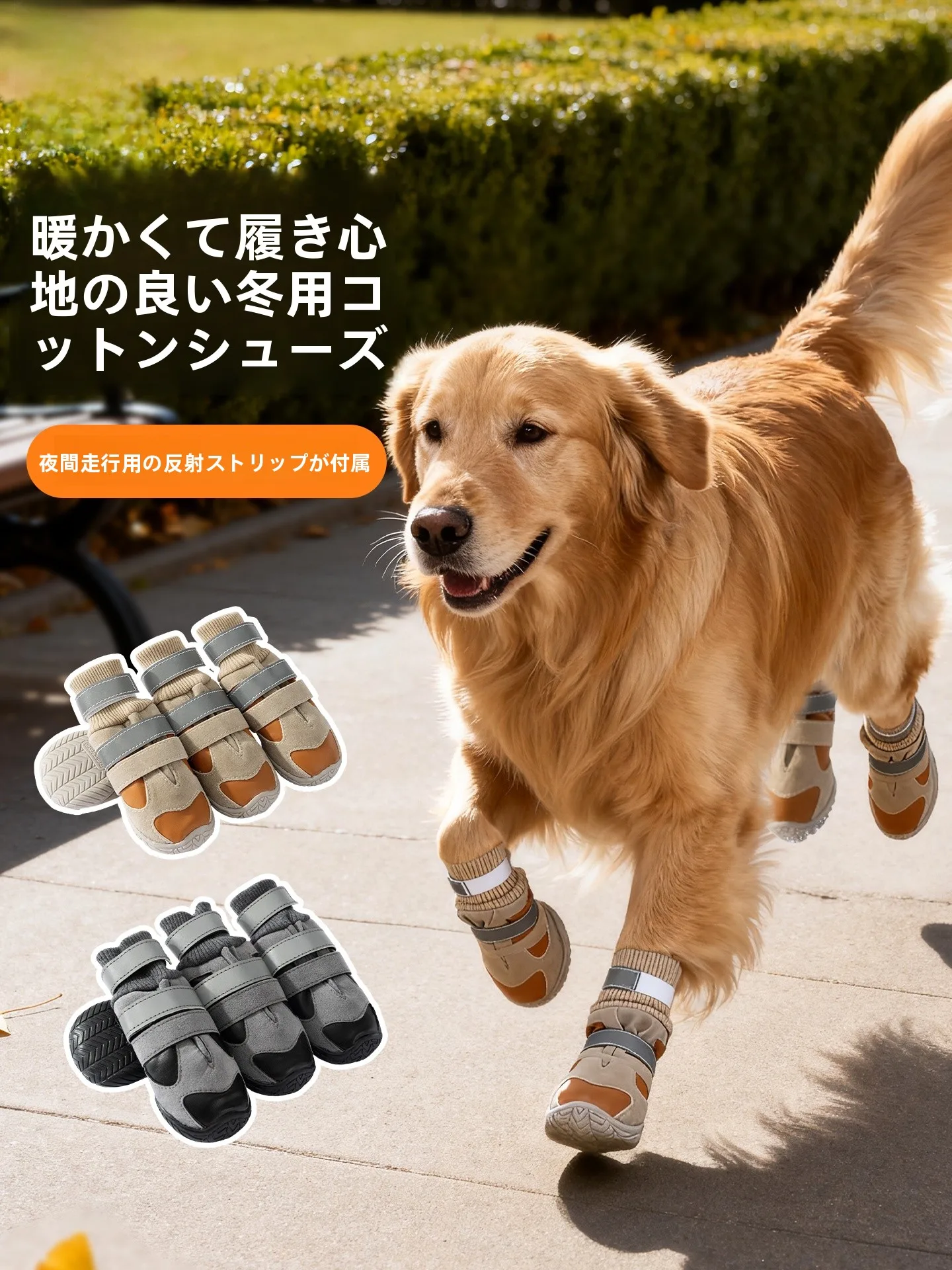 犬のお散歩グッズをコスパ良く揃える方法｜滑り止め・防水設計の選び方を徹底解説