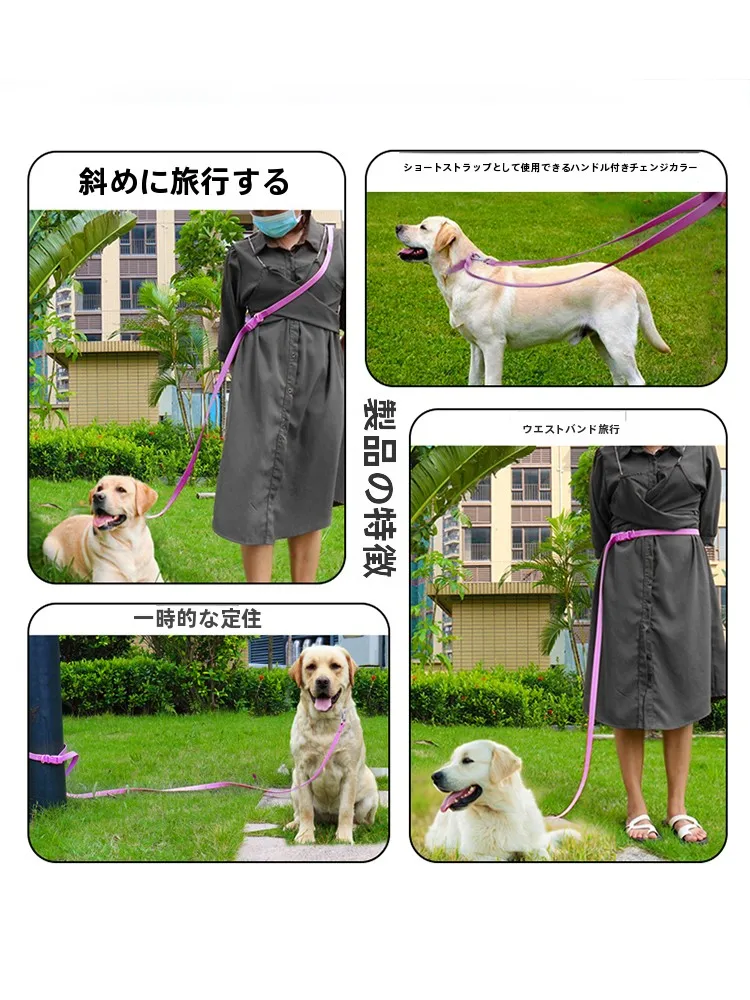 犬のお散歩グッズをコスパ良く揃える方法｜防水PVCリードの実用性と選び方の完全ガイド