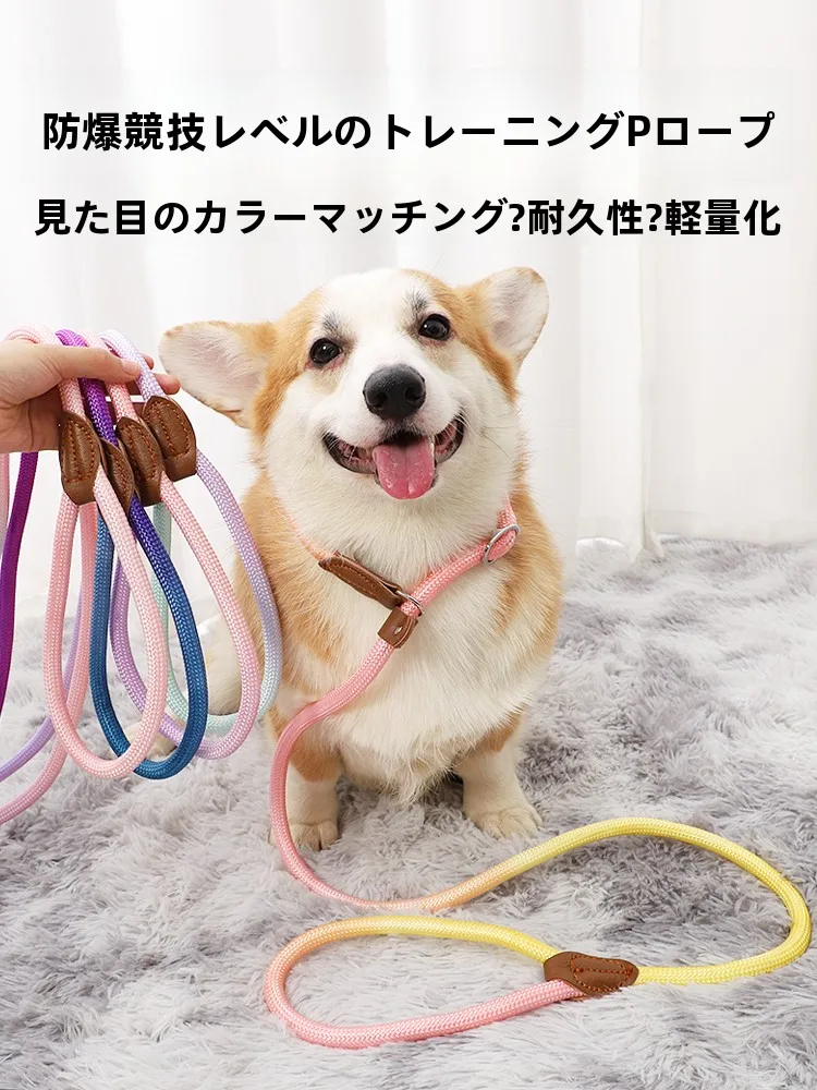 調整可能な反射材付き小型犬用リード：引っ張り防止機能と実用性の検証