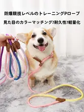 調整可能な反射材付き小型犬用犬用リード【脱走防止・トレーニング用】