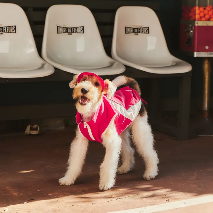 春夏用ピンクの犬用アウトドア日焼け防止ウェア【収納可能・かわいい・快適】