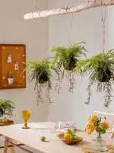 フェイクシダ 植物 吊り飾り 壁掛け装飾 空中飾り