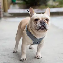 犬用X型ハーネスリード【フレンチブルドッグ・パグ・テディ・コーギー・柴犬・シャー・ボストンテリア対 応】