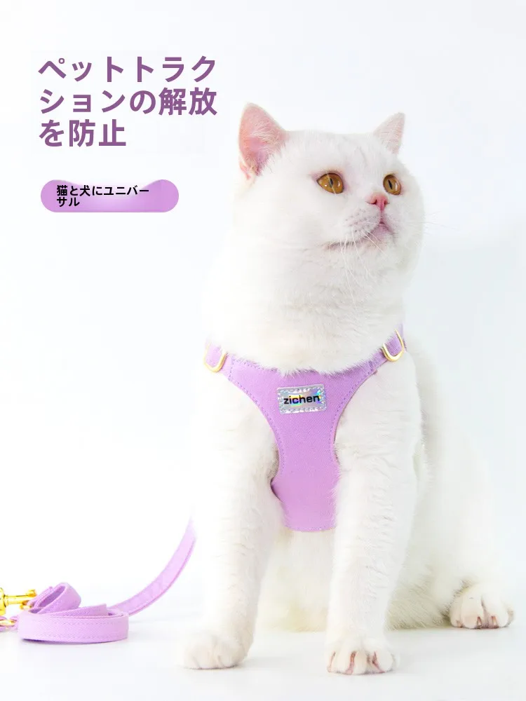 犬のお散歩グッズをコスパ良く揃える方法 - 折りたたみ式ペットキャリーカーのコストパフォーマンス