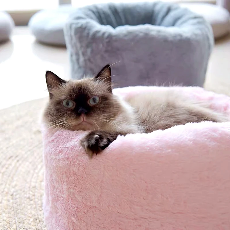 猫飼いが買ってよかったもの・悪かったもの正直に言う | 猫用ベッドの保温性と環境適応性