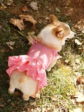 犬用春夏用タンクトップ【防晒・毛が抜けにくい・リード対応】（セットアップ対応）