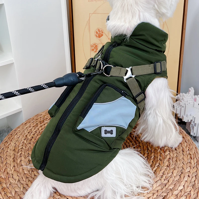 犬のお散歩グッズをコスパ良く揃える方法 - 保温コットンアウターのコストパフォーマンスと機能解説