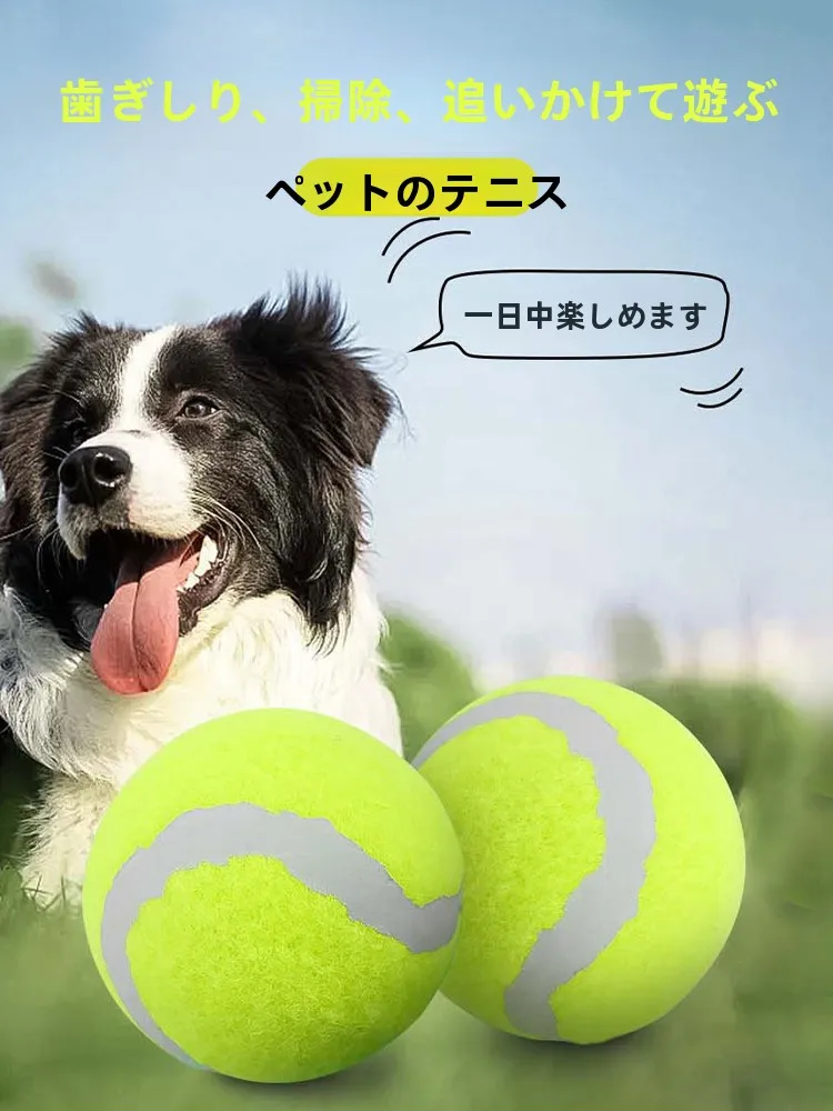 犬のお散歩グッズをコスパ良く揃える方法｜耐噛みゴムボールで行動管理を徹底解説