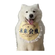 可愛い犬用口水巾【中大型犬・金毛・サモエド対応】