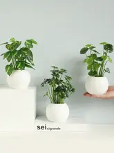 フェイクグリーン 装飾品 リビング ダイニングデスク オフィスデスク 小さな鉢植え インテリア