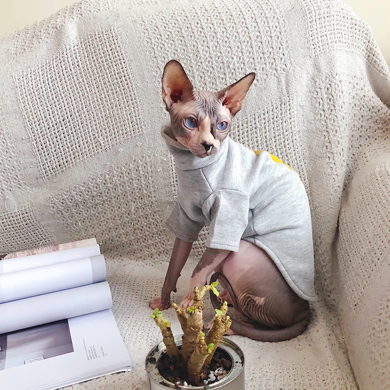 スフィンクス用厚手コットンウェア：ズボラでも飼えるペットの冬対策に最適な保温アイテム
