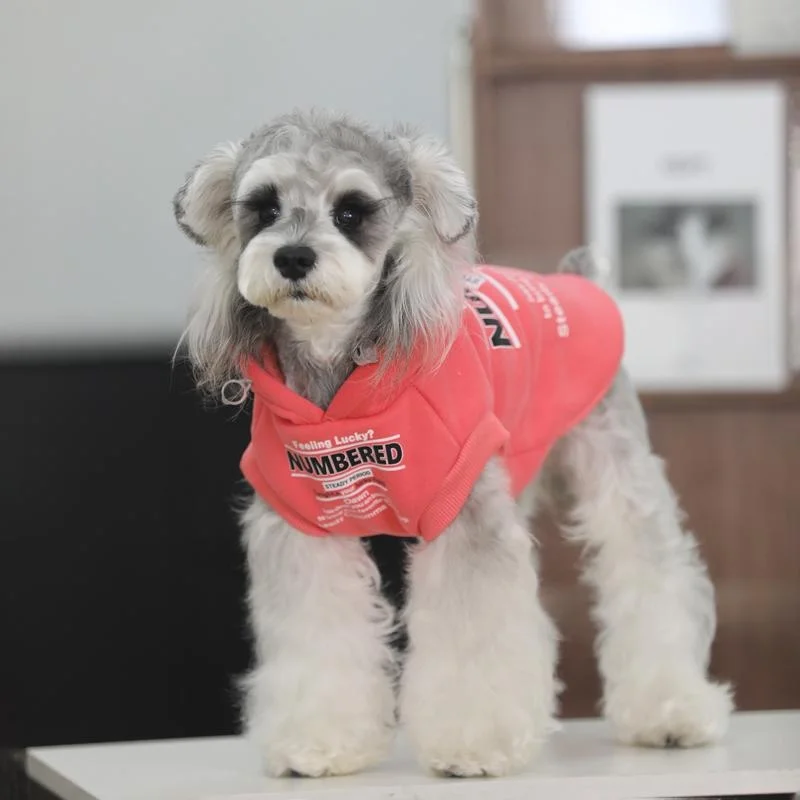 冬の通勤で犬が寒くならない方法は？小型犬用フリースセーターの選び方