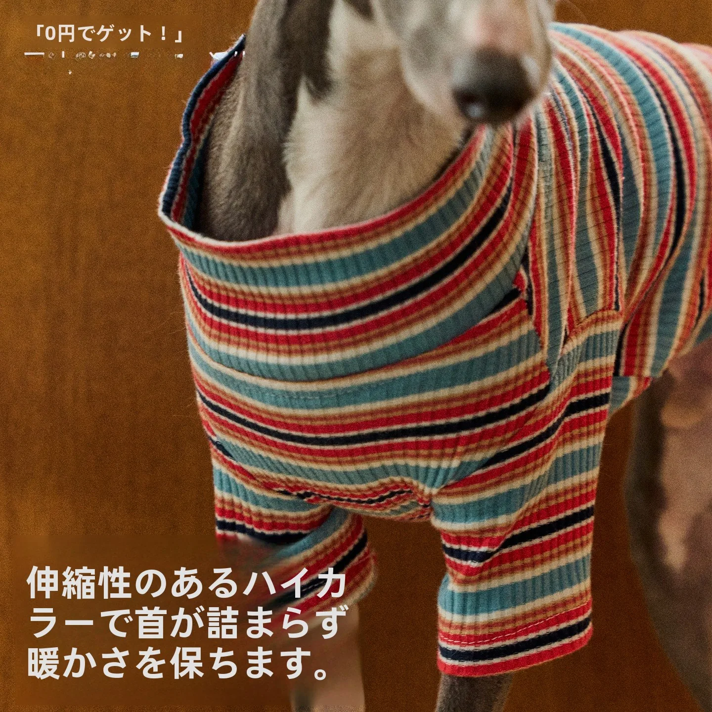 猫飼いが買ってよかったもの・悪かったもの正直に言う｜冬の着物選びの徹底解説