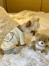 犬猫用Tシャツ【純綿・ロゴプリント・マルチーズ・ヨークシャーテリア向け】