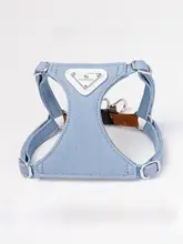 小型犬用 ハーネス付きリード【ペット用・胸部サポート・ティディ・ビション対応】（セットアップ対応）