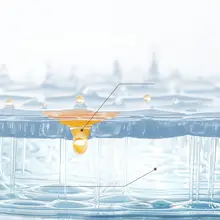 清爽洗顔フォーム【アミノ酸配合・皮脂コントロール・毛穴ケア・女性用】