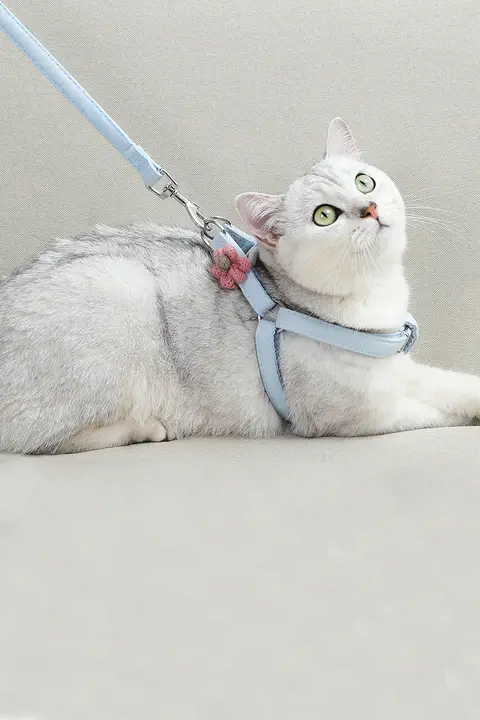 胸元のハーネスタイプ 犬用リード【小型犬対応・柔らかい素材】