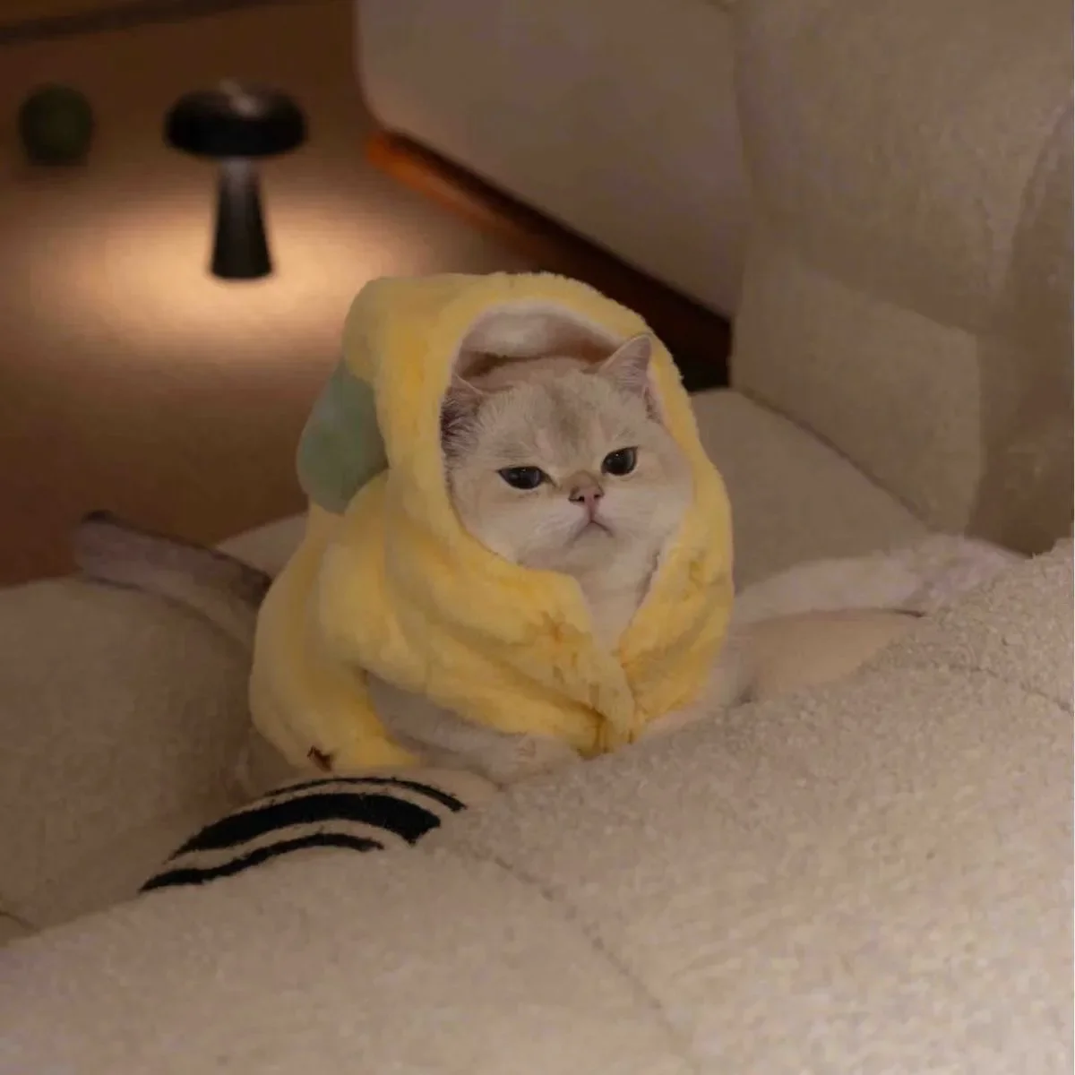 わんこ服を選ぶときに迷うのは、どんなデザインか？