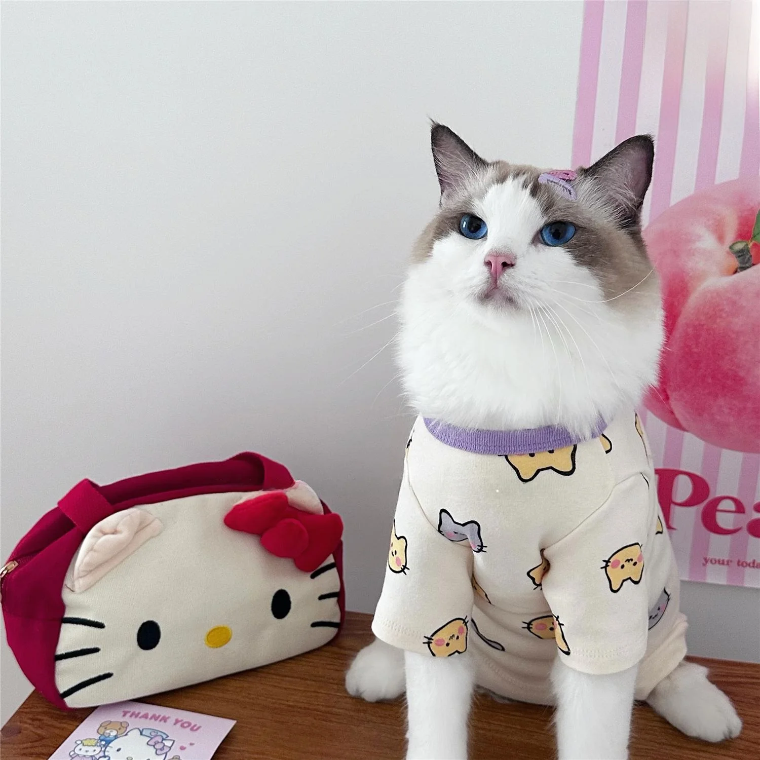 チワワとトイプードルのハーフにぴったりの秋冬ペット服は？