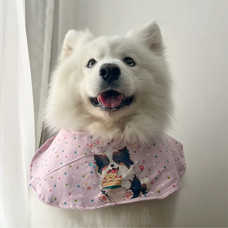 犬の介護用品の選び方ってどうすればいいの？厳選4選で高齢犬の生活サポートを実現