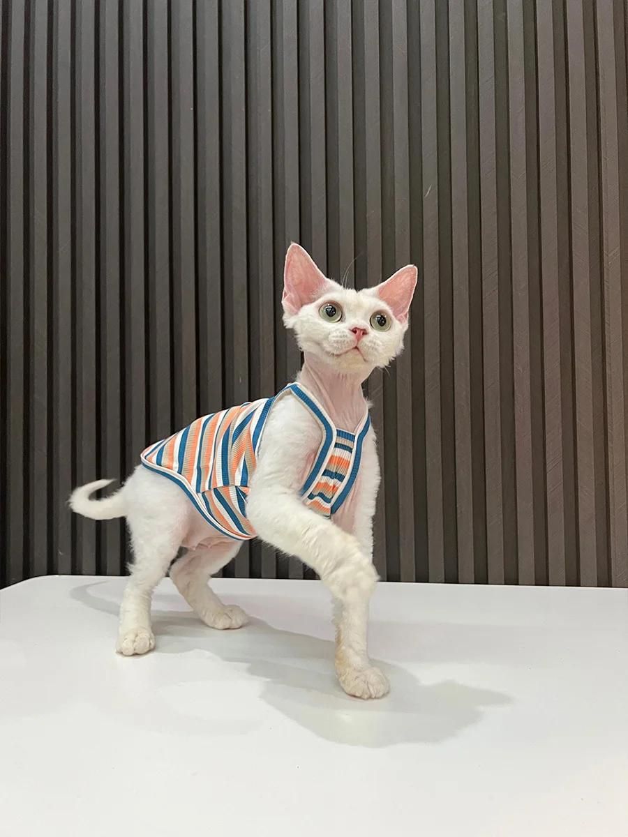 スフィンクスの肌に優しい、純綿のキャットウェアは本当に必要なのか？