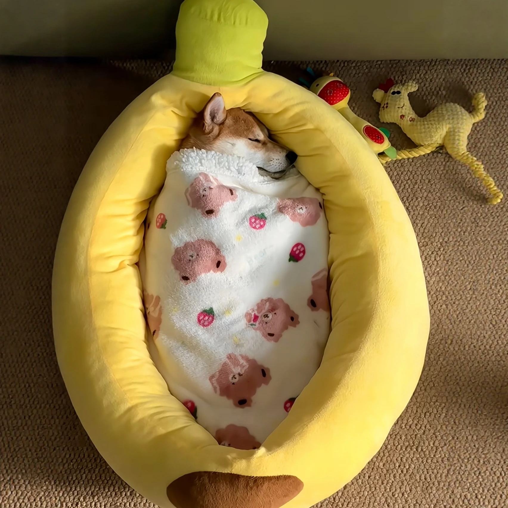 犬のケージに敷くものとして最適な保温マットとは？