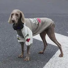 中大型犬用 フリース入り秋冬用ボンバージャケット【保温・ベースボールスタイル・ボーダー柄】