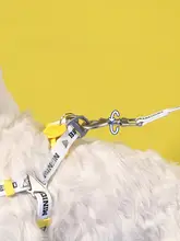 ミニオンシリーズ ペット用リード【小型犬用・テディベア・散歩用ハーネス】