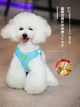 小型犬用ハーネス付きリード【引き抜け防止・テディ・ポメラニアン対応】