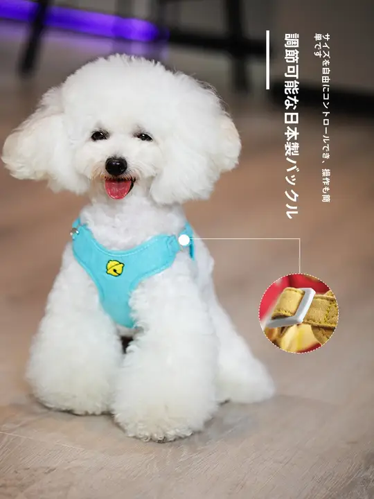 小型犬用ハーネス付きリード【引き抜け防止・テディ・ポメラニアン対応】