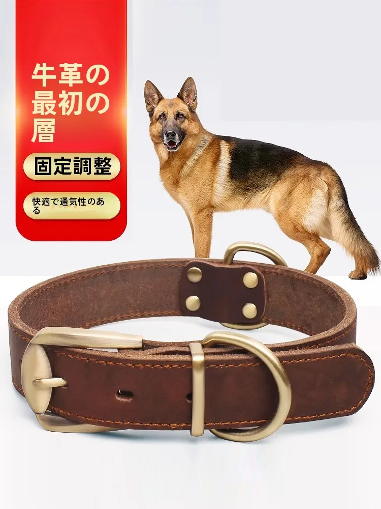 犬のお散歩グッズをコスパ良く揃える方法　本革首輪の選び方徹底解説