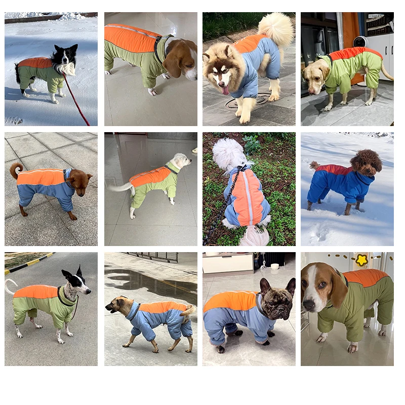 犬のお散歩グッズをコスパ良く揃える方法　全身保温コートの実測ガイド
