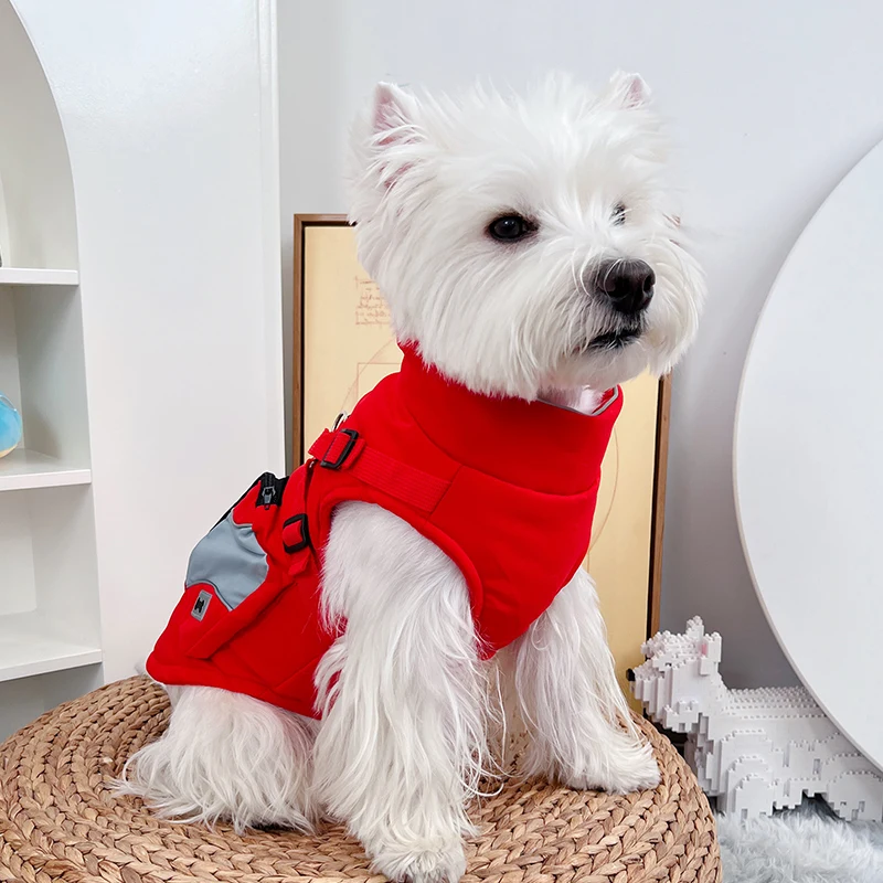 犬のお散歩グッズをコスパ良く揃える方法 - 保温コットンアウターのコストパフォーマンスと機能解説