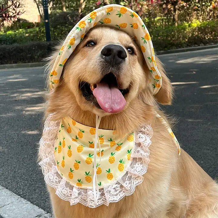 犬用フロントカバー【中型・大型犬用・シリコン製・可愛いデザイン】（セットアップ対応）