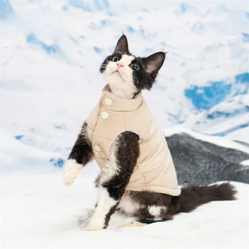 猫飼いが買ってよかったもの・悪かったもの正直に言う｜冬の保温ジャケット選びの徹底解説