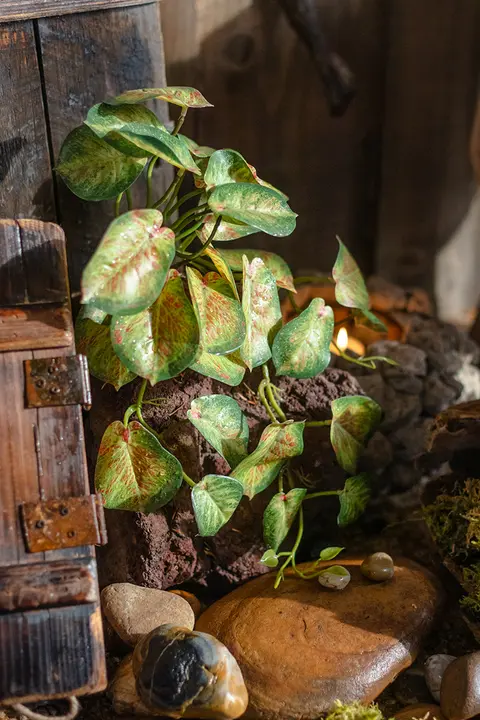 吊り下げ植物 壁装飾 植物アレンジメント エコタンク 擬似生物ミニチュア 景観装飾