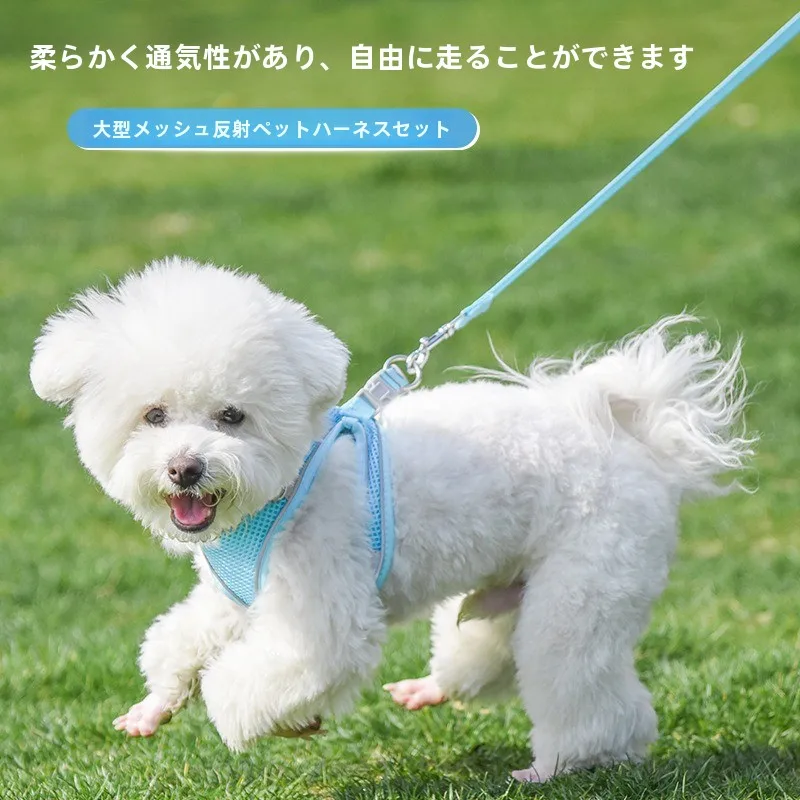 犬のお散歩グッズをコスパ良く揃える方法 - 反射機能付き通気性ハーネスリードの特徴