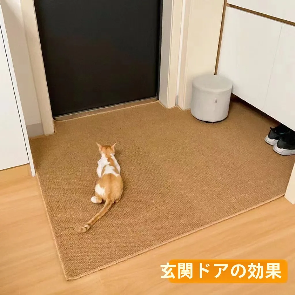 猫飼いが買ってよかったもの・悪かったもの正直に言う｜背景用ラグの選び方と実際の効果